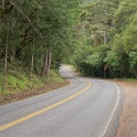 DSC05500