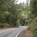 DSC05501