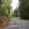 DSC05520