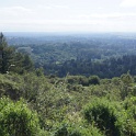 DSC05527