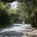 DSC05539