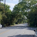 DSC05541