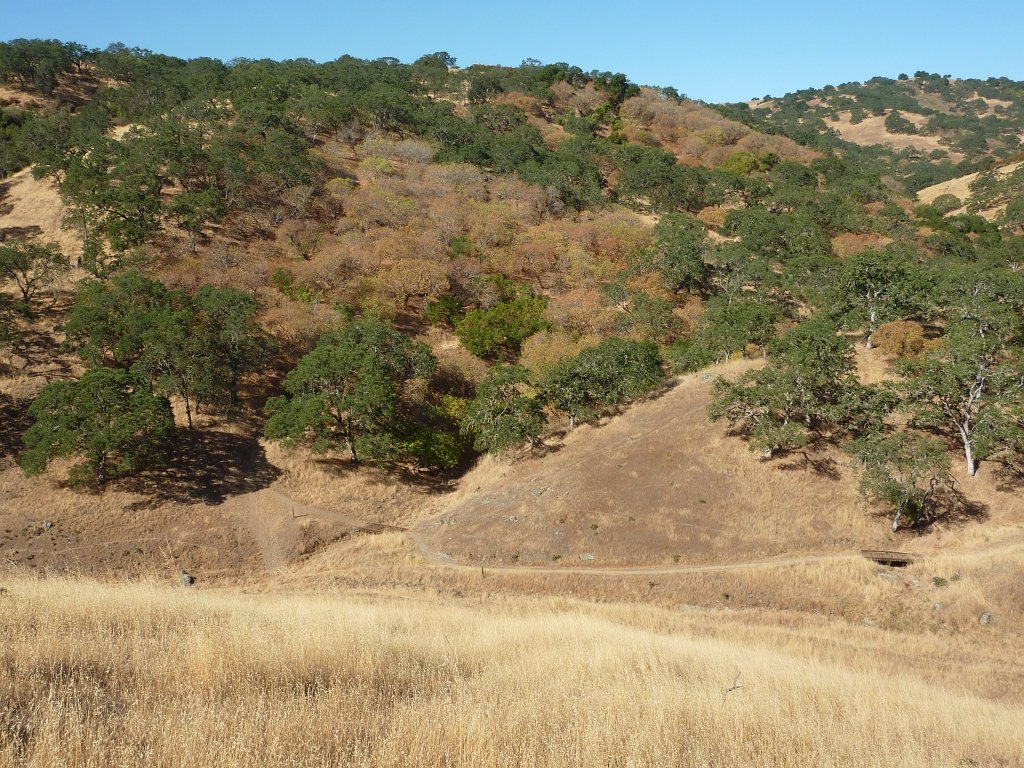 P1020730