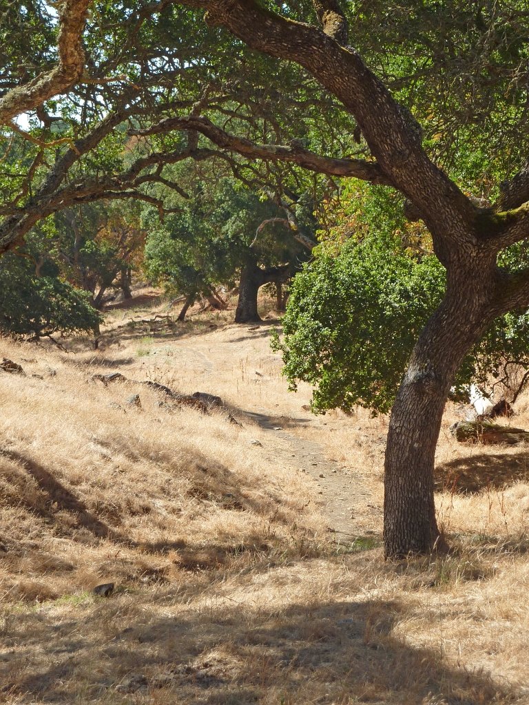 P1020738