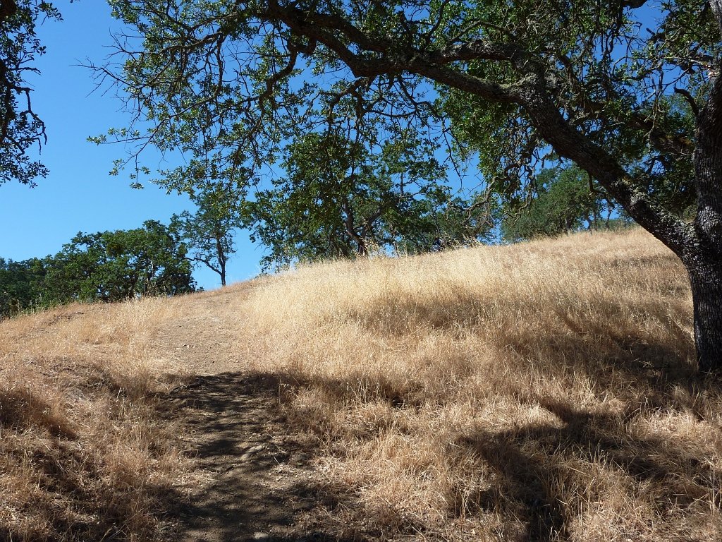 P1020745