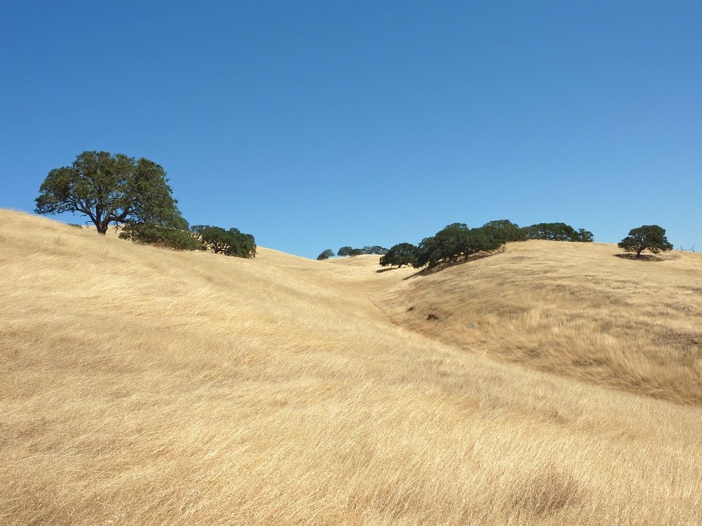 P1020762
