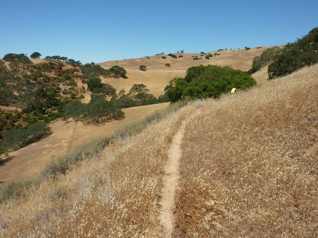 P1020765