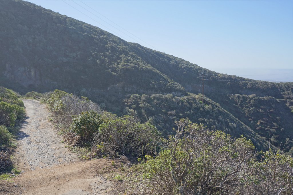 DSC08095