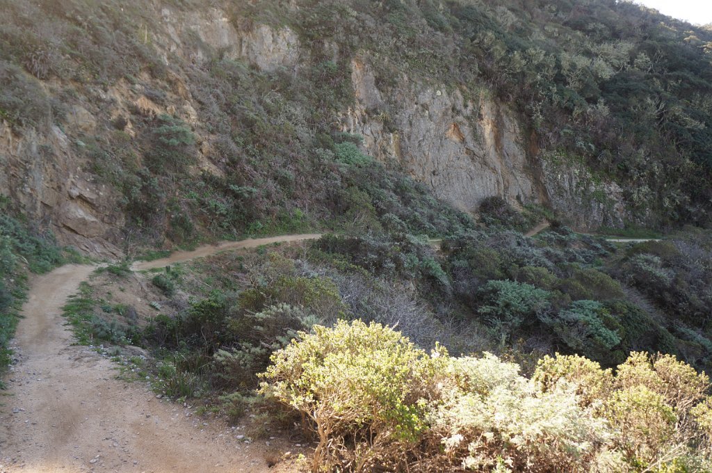 DSC08097