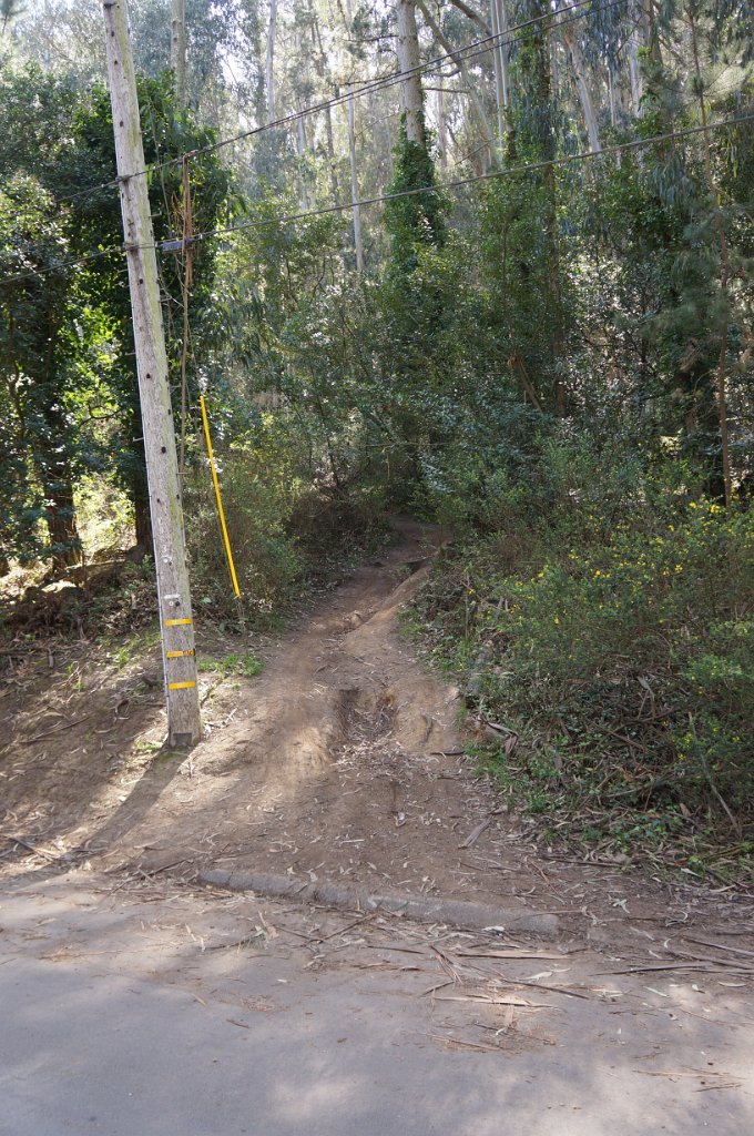 DSC08205