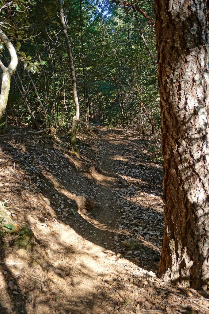 DSC03315