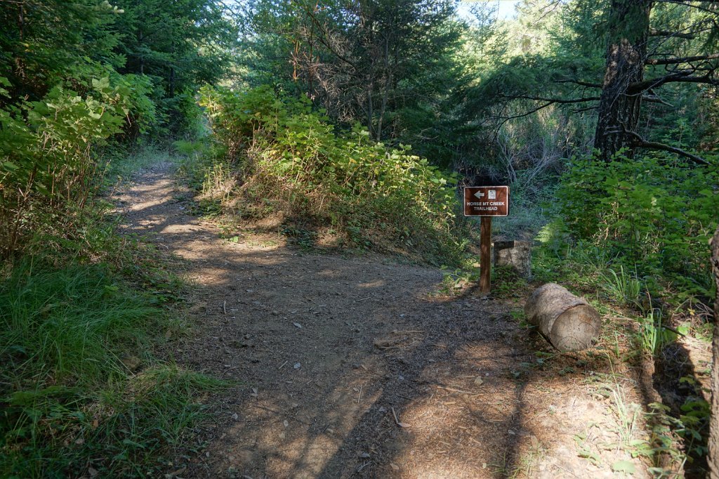 DSC03331