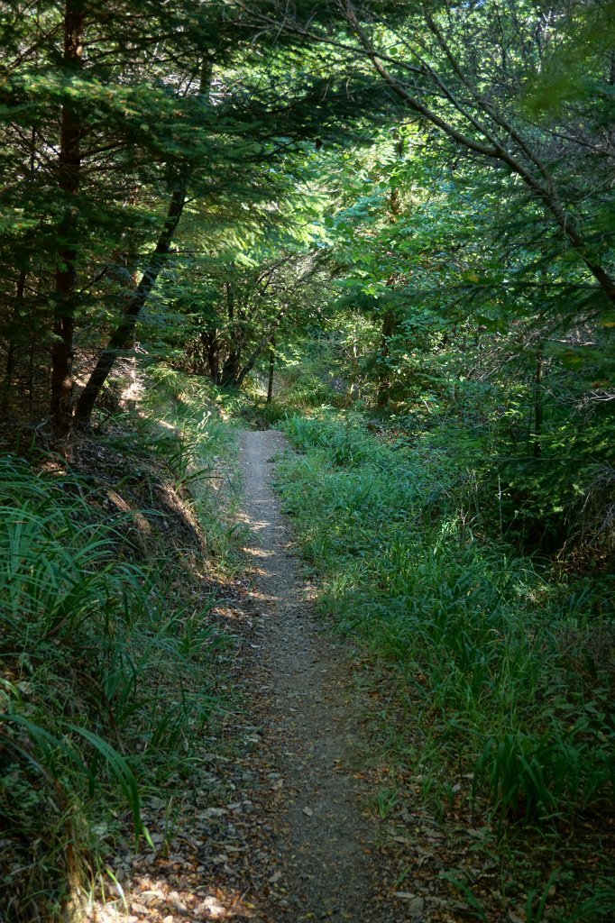 DSC03337