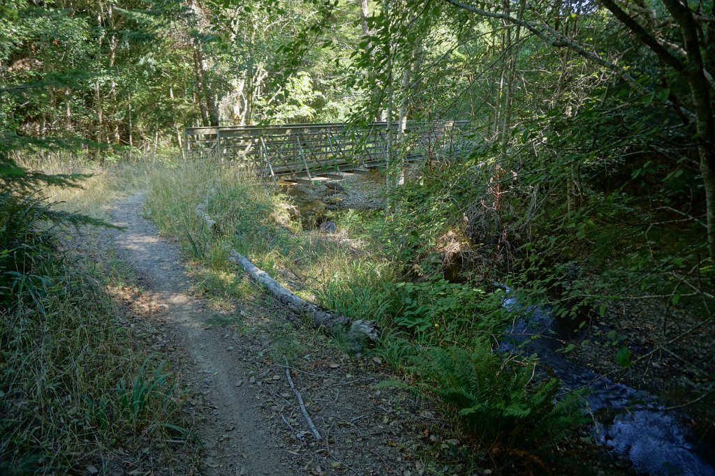 DSC03339