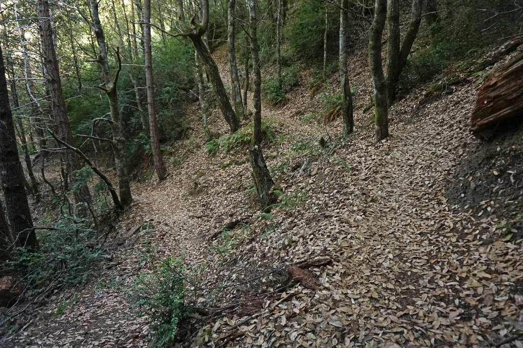 DSC03346