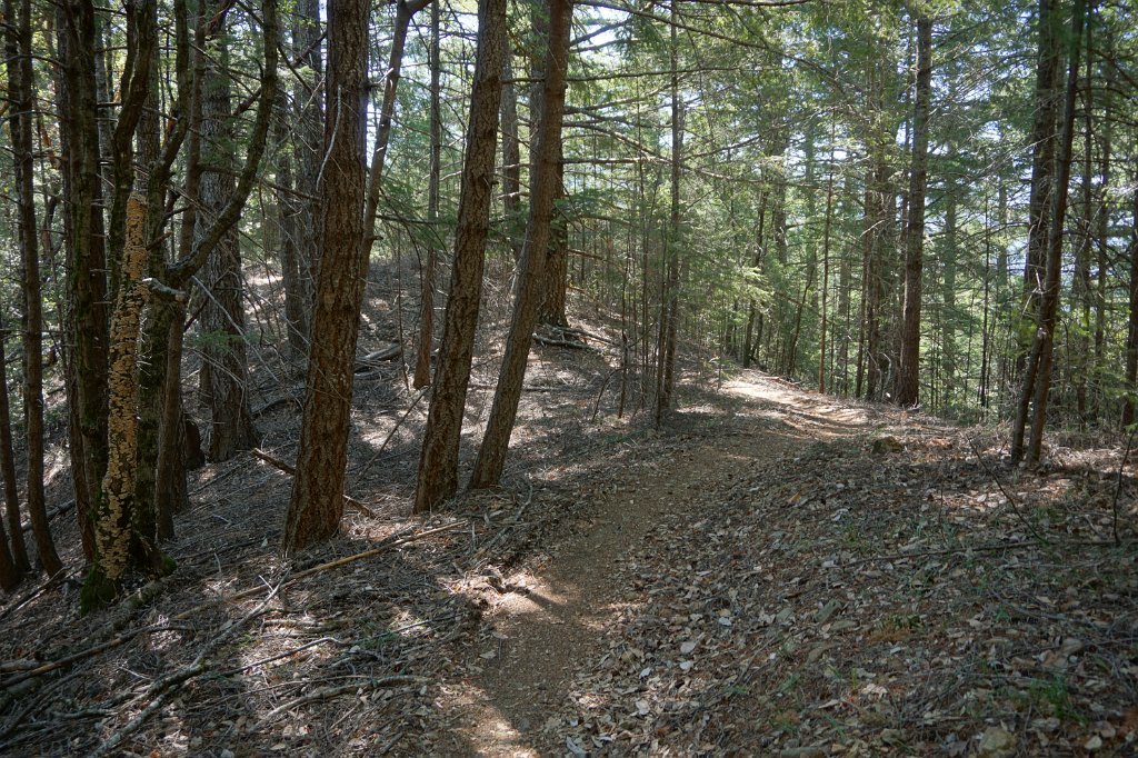 DSC03370
