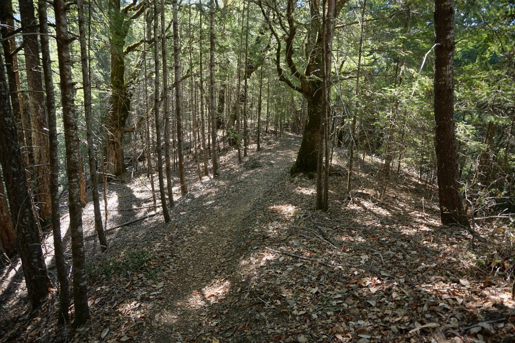 DSC03376