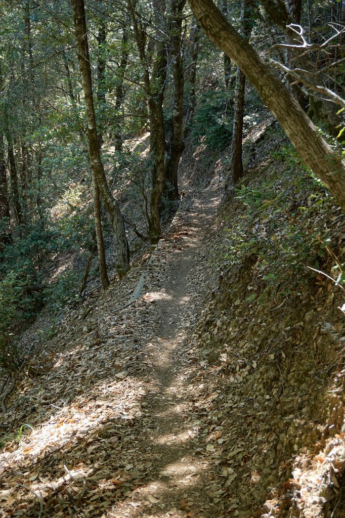 DSC03380