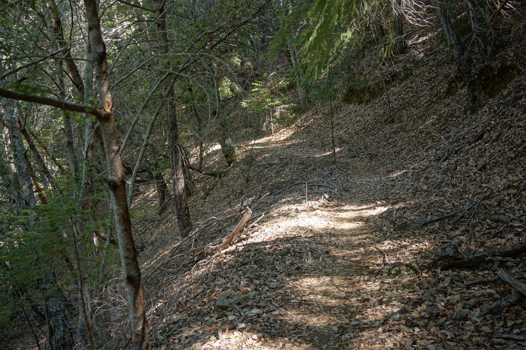 DSC03392