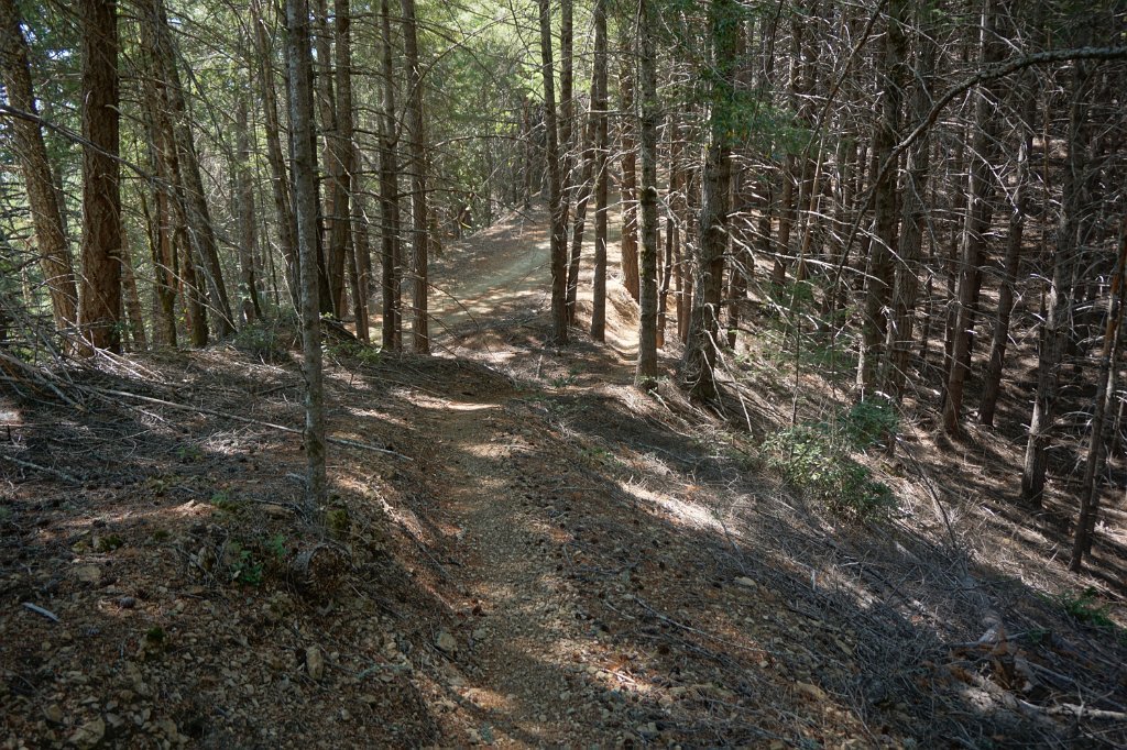DSC03407