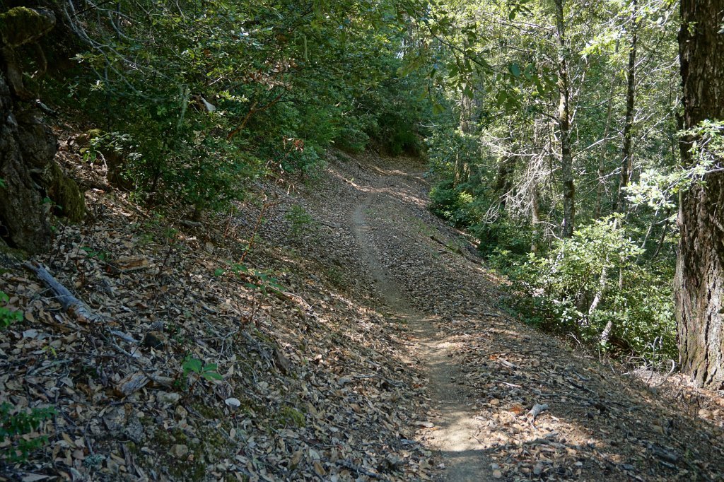 DSC03435