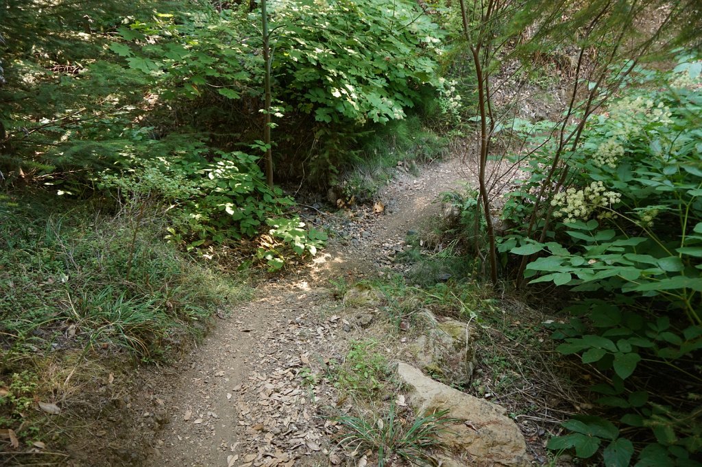 DSC03438