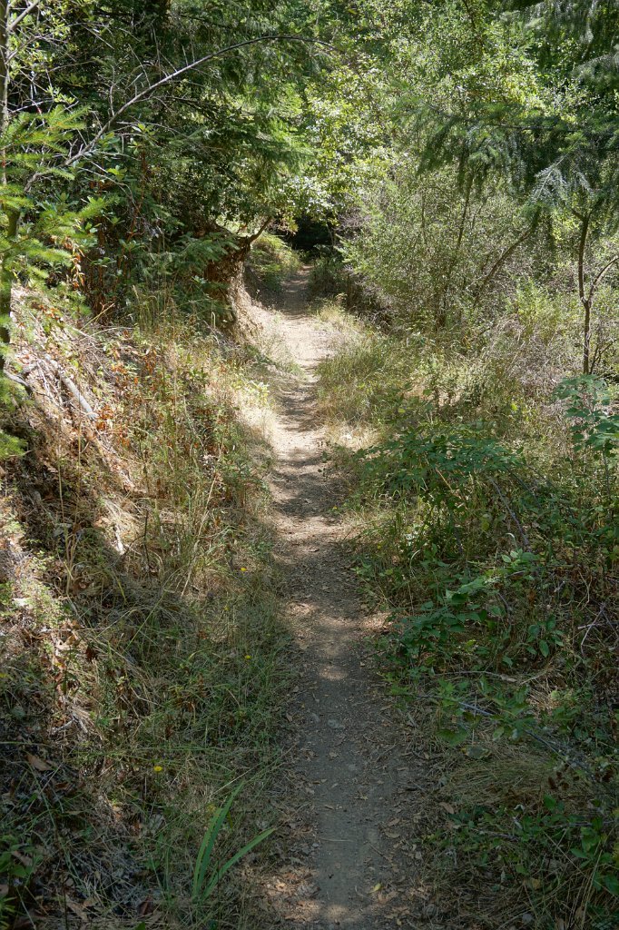 DSC03446