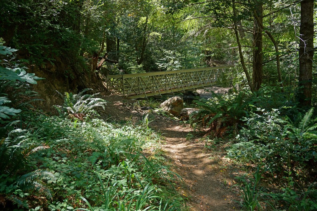 DSC03450