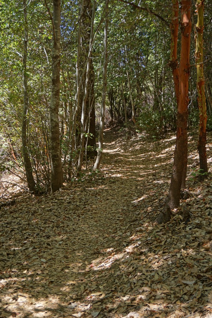 DSC03476