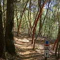 DSC03313
