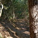 DSC03315