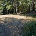 DSC03317