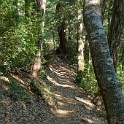 DSC03319