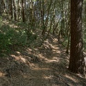 DSC03321