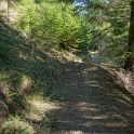 DSC03333