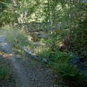 DSC03339