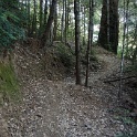 DSC03347