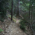 DSC03349