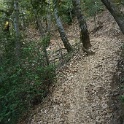 DSC03351