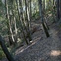 DSC03354