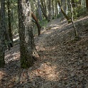 DSC03358