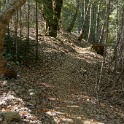 DSC03360