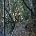 DSC03361