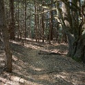 DSC03364