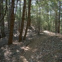 DSC03370
