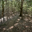 DSC03376