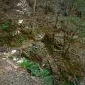 DSC03384