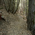 DSC03388