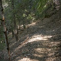 DSC03392
