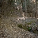 DSC03396